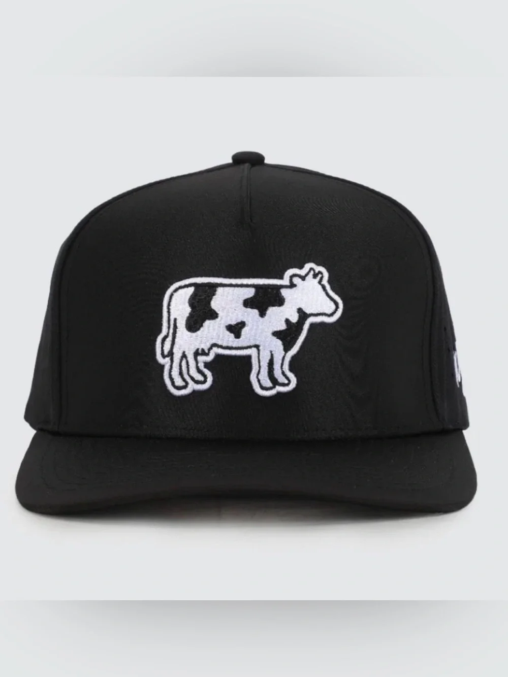 Waggle Legendairy Hat, Black